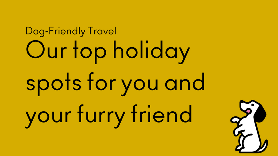 Holidaying with Your Hound: Dog Friendly Destinations