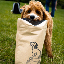 Load image into Gallery viewer, BrewBix Healthy Peanut Butter Dog Treat Biscuits - 500g Pouch - Subscribe & Save 4%