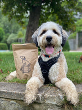 Load image into Gallery viewer, BrewBix Healthy Peanut Butter Dog Treat Biscuits - 500g Pouch - Subscribe & Save 4%