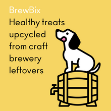 Load image into Gallery viewer, BrewBix Mixed Box Healthy Peanut Butter Dog Treat Biscuits - 3 x 100g large bones + 3 x 100g small bones