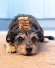Load image into Gallery viewer, BrewBix Healthy Peanut Butter Dog Treat Biscuits - 6 x 100g Gift Boxes