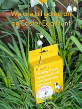 Load image into Gallery viewer, BrewBix Easter Egg Hunt Healthy Peanut Butter Dog Treat Biscuits 100g Box