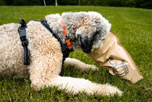 Load image into Gallery viewer, BrewBix Healthy Peanut Butter Dog Treat Biscuits - 500g Pouch - Subscribe & Save 4%