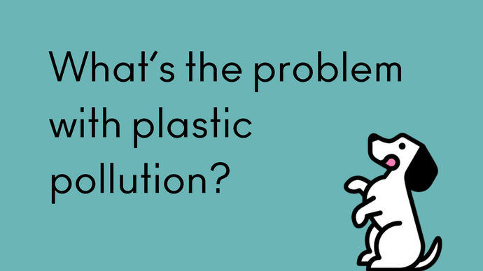 What's the problem with plastic pollution?