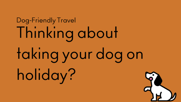Holidaying with Your Hound: Our Guide to a Pawfect Dog Friendly Getaway