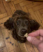 Load image into Gallery viewer, BrewBix Healthy Peanut Butter Dog Training Treat Biscuits - 50g Pouches
