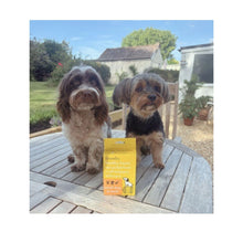 Load image into Gallery viewer, BrewBix Small dog Breeds Peanut Butter Biscuits  - 100g Box

