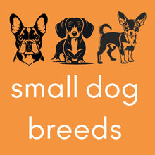 Load image into Gallery viewer, BrewBix Small dog Breeds Peanut Butter Biscuits  - 100g Box
